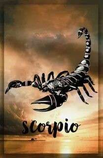 Скорпион (20 лет) (Фото!) предлагает мужской эскорт, массаж или другие услуги (№6966855)